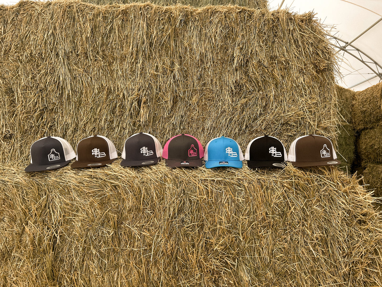 $B hats