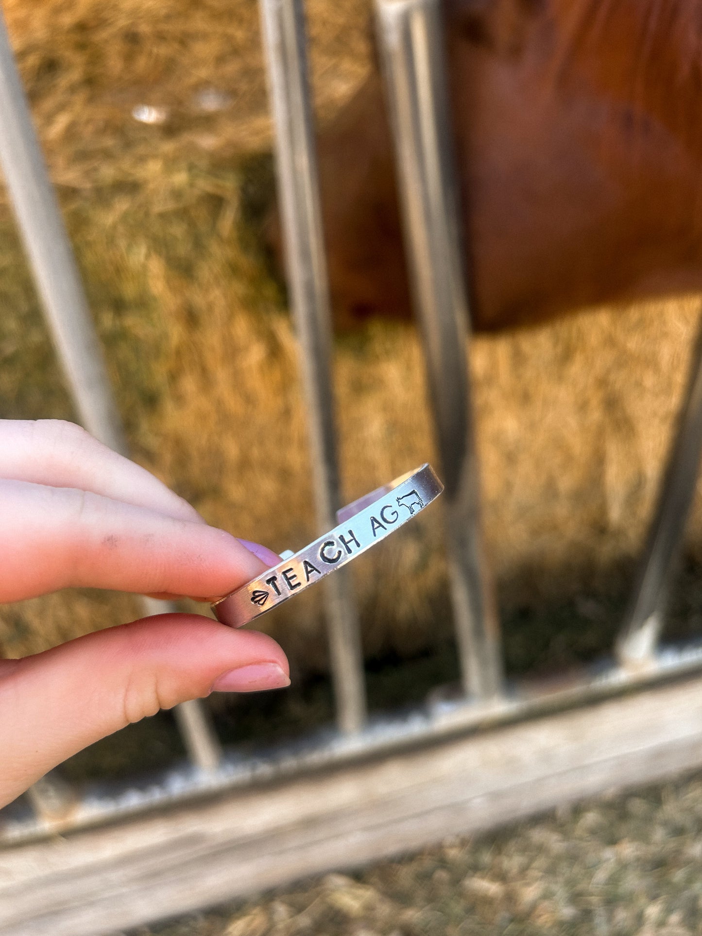 Teach ag cuff (bovine addition)