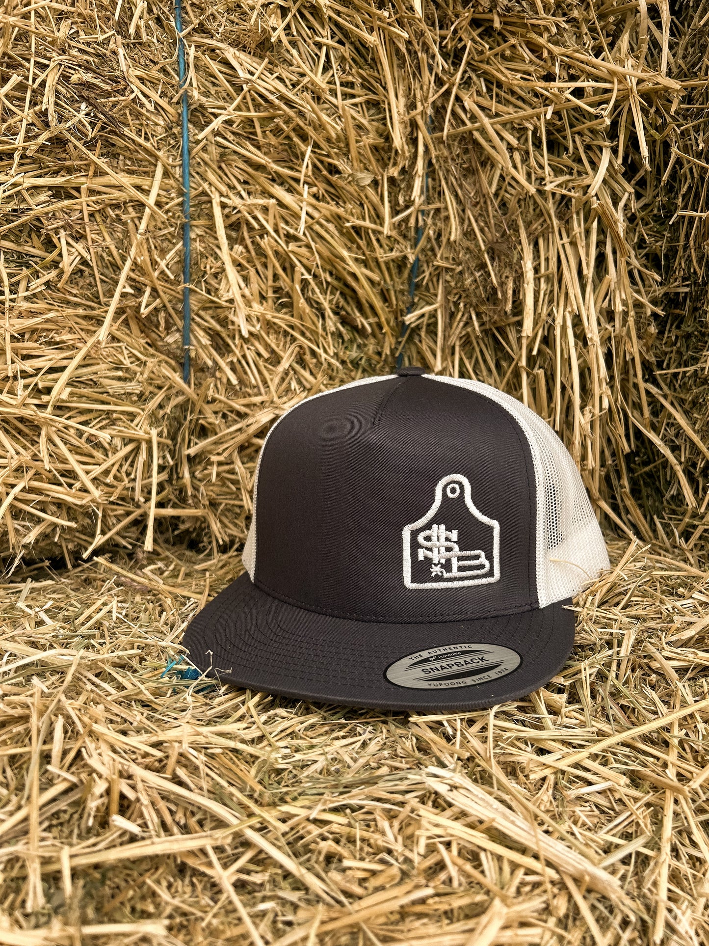 $B hats