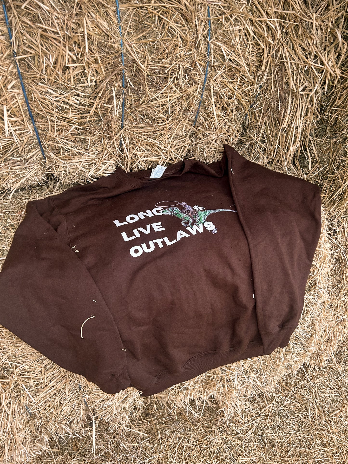 Long Live Outlaws crewneck