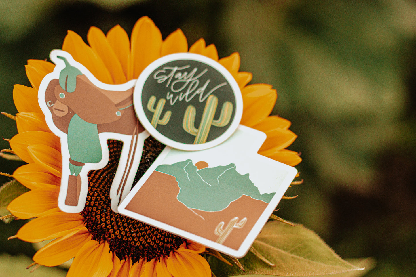 saddle up anyway sticker