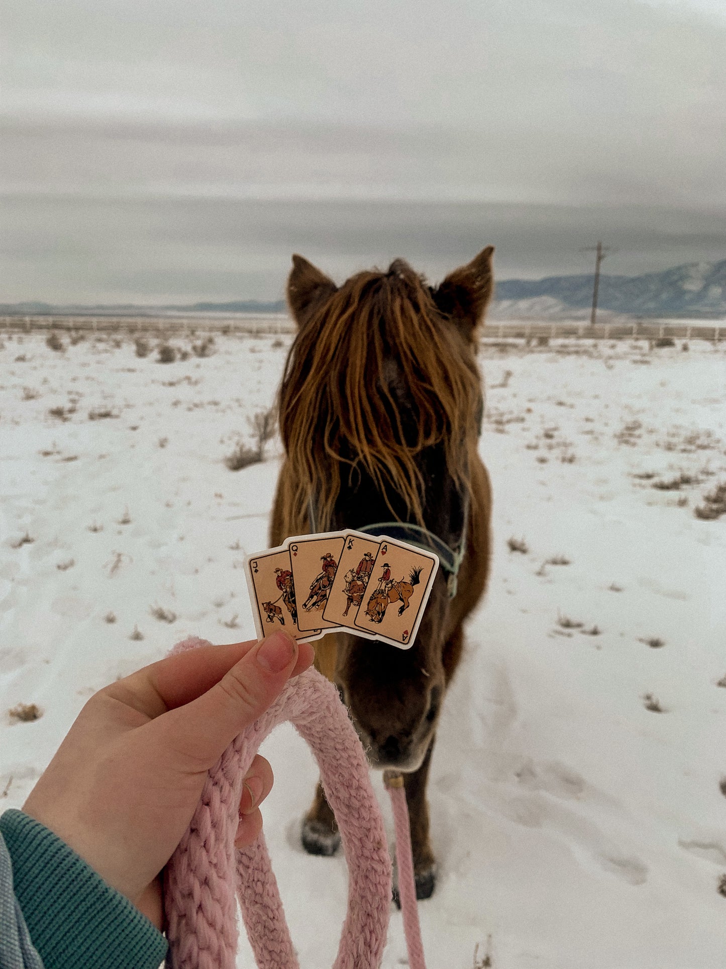 Cowboy up sticker