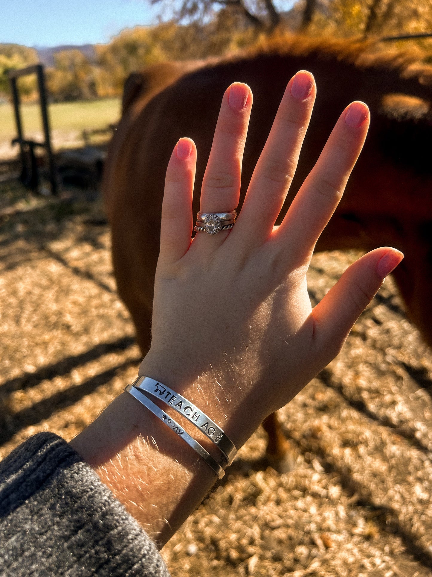 Teach ag cuff (feedlot addition)