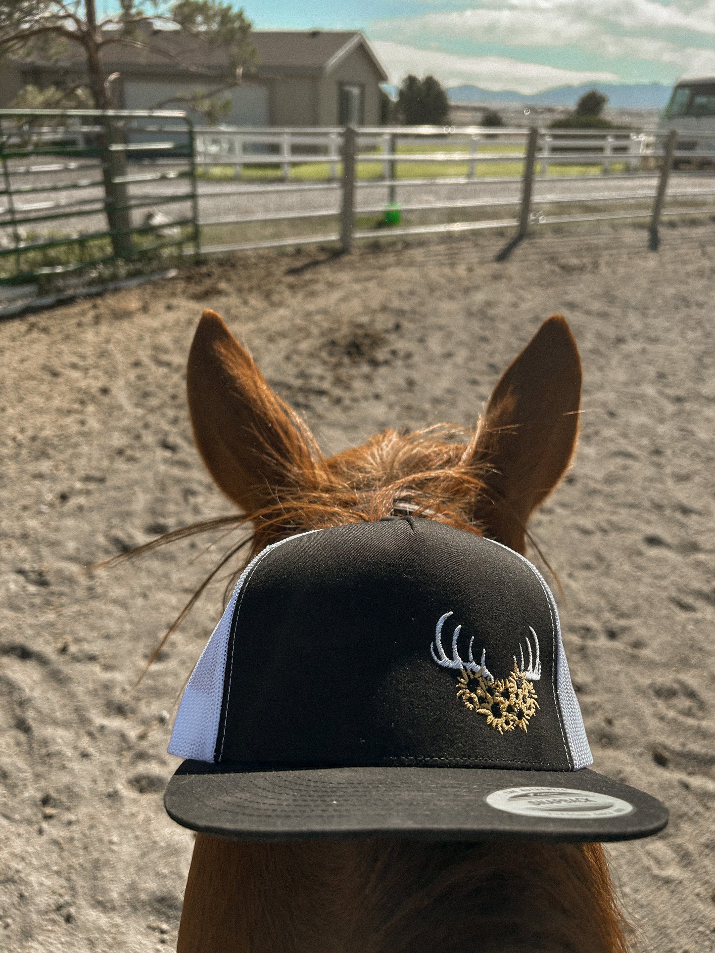 Logo hats